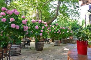 A garden outside Hotel Filoxenia
