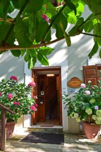 A garden outside Hotel Filoxenia
