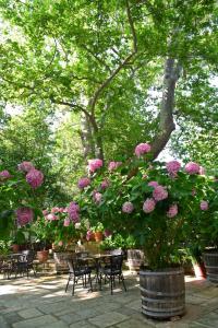 A garden outside Hotel Filoxenia