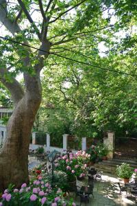 a garden with chairs and a tree and flowers at Hotel Filoxenia in Portariá