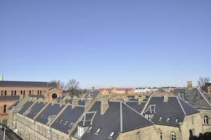 コペンハーゲンにあるApartmentInCopenhagen Apartment 331の街の建物屋根の眺め