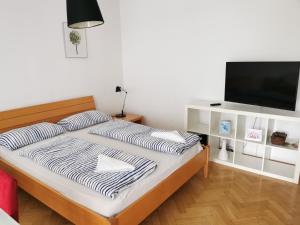 Un dormitorio con una cama con un televisor de pantalla plana. en City centre studio with a balcony and free parking, en Liubliana