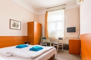 1 dormitorio con 1 cama, escritorio y TV en Eitans Guesthouse en Budapest