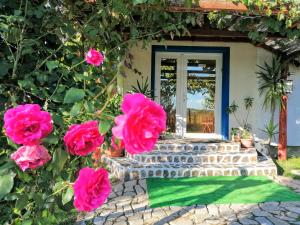 una puerta de entrada de una casa con rosas rosas en Teo Guest Rooms, en Băile Felix
