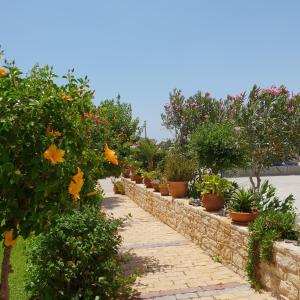 a row of potted plants on a stone wall at Hotel Aglaia in Kalamaki