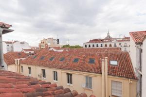 vistas a los tejados de los edificios de una ciudad en Cozy one-bedroom penthhouse La Latina en Madrid