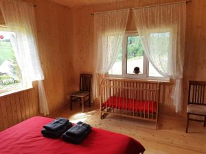 een slaapkamer met een rood bed en een raam bij Омріяні Карпати in Smozhe