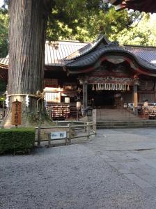 un arbre devant un bâtiment avec un arbre dans l'établissement Guest house Fujinoyado Akebono - Vacation STAY 92428, à Fujiyoshida