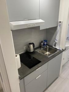 Kuchyňa alebo kuchynka v ubytovaní Stadio 1 - Appartamenti monolocali con bagno privato Verona