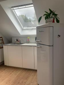 een keuken met een witte koelkast en een dakraam bij Sascha´s Home in Saarlouis