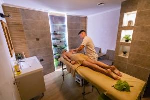 Apgyvendinimo įstaigoje ALFA Hotel & Wellness Miskolctapolca viešintys svečiai