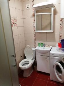 uma pequena casa de banho com WC e lavatório em Экономичная студия с тенистым патио вблизи пляжа em Kotor