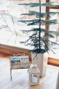 ein Weihnachtsbaum in einer Metallkiste neben einem Weihnachtsbaum in der Unterkunft Hygge style apartment Nida in Nida