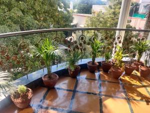 Κήπος έξω από το Sweet Memories- Perfect home stay +5 φωτογραφίες