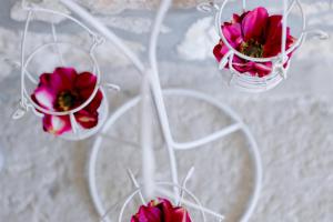 Fotografie z fotogalerie ubytování Casa romana v Poreči