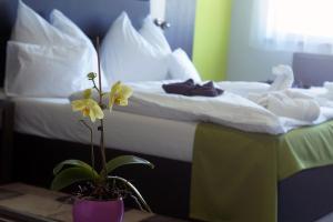 une chambre d'hôtel avec un lit et une plante en pot dans l'établissement Hotel Fitromax Ajka, à Ajka