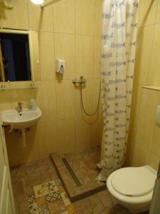 a bathroom with a shower and a toilet and a sink at Hotel Casa Latina in Budapest