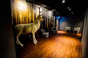 Fotografie z fotogalerie ubytování Hotel Viktorosa v destinaci Hofgeismar