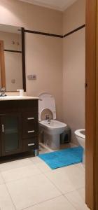 a bathroom with a sink and a toilet and a mirror at oasis de sueno 2 in Alicante