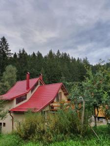 a house with a red roof on top of it at Forest Vibes Spa in Cîmpu lui Neag