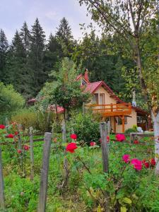 a house with a fence and flowers in front of it at Forest Vibes Spa in Cîmpu lui Neag