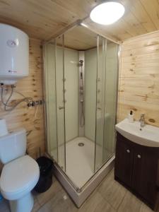 a bathroom with a shower and a toilet and a sink at Domki Przystań in Kryspinów