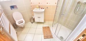 Kúpeľňa v ubytovaní Villa Filip
