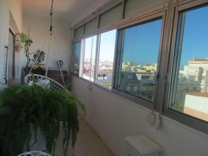 Habitación con 3 ventanas y una maceta. en Caparica for Rent, en Costa da Caparica
