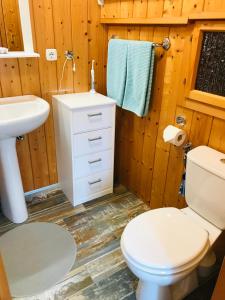 a bathroom with a white toilet and a sink at Apartment Müllerstiege in Hallstatt