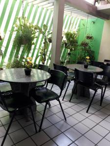 un restaurante con 2 mesas, sillas y plantas en Panoramica Pousada, en Fortaleza