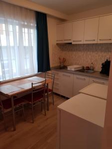 Kuhinja ili čajna kuhinja u objektu Apartament 4 Central