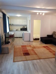 a large living room with a couch and a kitchen at Apartament 4 Central in Târgu-Mureş