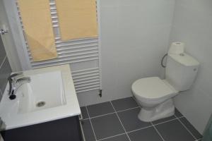 a bathroom with a white toilet and a sink at Penzion Bez Modrého Páva in Štramberk