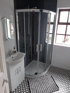 y baño con ducha y lavamanos. en Railway Bar Accommodation en Poyntz Pass