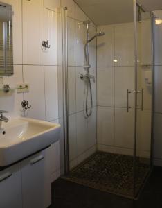 a bathroom with a shower and a sink at Am Storchennest in Damnatz