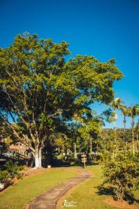 a tree in a park with a dirt road at Hotel Fazenda Casarão do Vale Hotel in Massaranduba