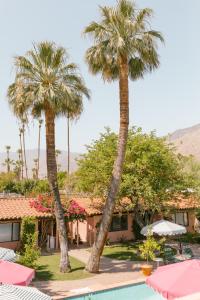 a resort with palm trees and a swimming pool at Les Cactus in Palm Springs