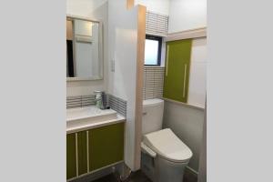 a bathroom with a toilet and a sink and a mirror at Iida Accommodation in Iida