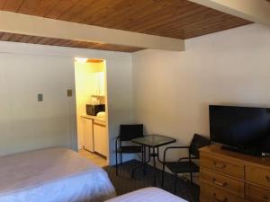 TV a/nebo společenská místnost v ubytování Pines Motel