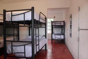 Gallery image of Sukha Hostel Xilitla in Xilitla