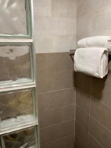 Baño alicatado con toalla y toallero en AnDiMi Pozo el 3, en Toledo