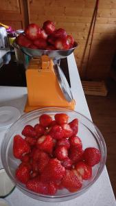 a bowl of strawberries on a counter with a juicer at La Rose des Vents in Les Vastres