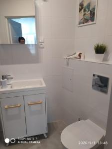 a white bathroom with a sink and a toilet at Herman View Apartment in Grudziądz