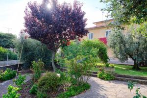 Vonkajšia záhrada v ubytovaní OlioeAlloro B&B