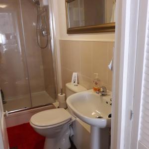 Un baño con inodoro, lavabo y ducha. en Lucea Cottage, en Craven Arms