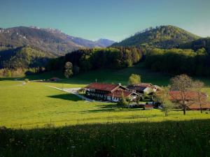 a house in the middle of a green field at Gschwendtnerhof App10 KrausW in Aschau im Chiemgau