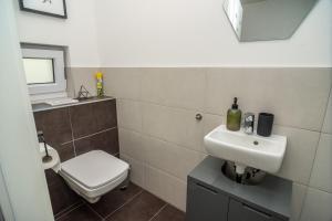 La salle de bains est pourvue de toilettes et d'un lavabo. dans l'établissement 3 bed modern family house in Mikulov, à Mikulov