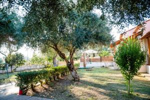 A garden outside Kalypso studio Resorts