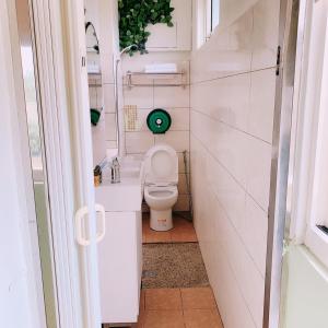 a small bathroom with a toilet with a green fan at Backstreet Inn in Xiluo