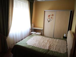 a bedroom with a bed and a window at Sadyba Anzhelika in Truskavets